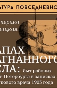 Екатерина Жирицкая - Запах загнанного тела: быт рабочих Санкт-Петербурга в записках участкового врача 1903 года