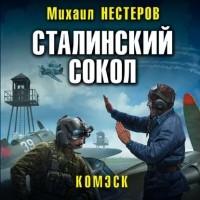 Михаил Нестеров - Сталинский сокол. Комэск