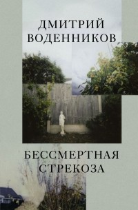 Дмитрий Воденников - Бессмертная стрекоза