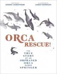 Donna Sandstrom - Orca Rescue! The True Story of an Orphaned Orca named Springer