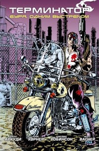 Терминатор. Буря. Одним выстрелом