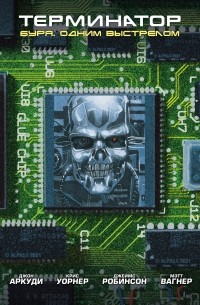 Терминатор. Буря. Одним выстрелом
