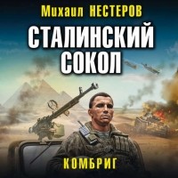 Михаил Нестеров - Сталинский сокол. Комбриг