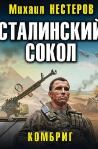 Сталинский сокол. Комбриг