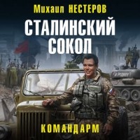 Михаил Нестеров - Сталинский сокол. Командарм