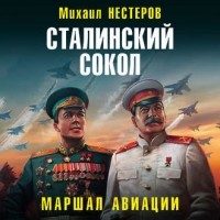 Михаил Нестеров - Сталинский сокол. Маршал авиации