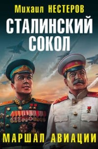 Сталинский сокол. Маршал авиации