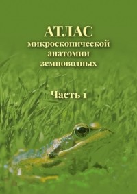 В. В. Ярцев - Атлас микроскопической анатомии земноводных. Часть 1