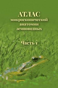 В. В. Ярцев - Атлас микроскопической анатомии земноводных. Часть 1