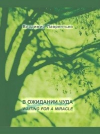 Владимир Лаврентьев - В ожидании чуда