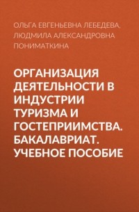 Организация деятельности в индустрии туризма и гостеприимства. Бакалавриат. Учебное пособие