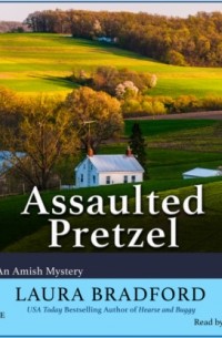Assaulted Pretzel - An Amish Mystery, Book 2