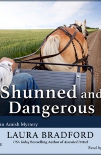 Shunned and Dangerous - An Amish Mystery, Book 3