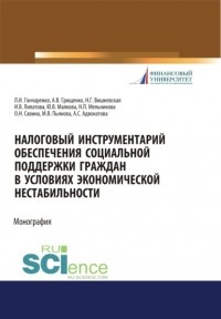 Инна Владимировна Липатова - Налоговый инструментарий обеспечения социальной поддержки граждан в условиях экономической нестабиль. . Монография
