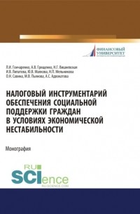Инна Владимировна Липатова - Налоговый инструментарий обеспечения социальной поддержки граждан в условиях экономической нестабиль. . Монография