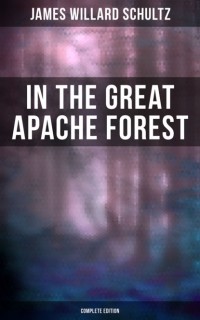 Джеймс Уиллард Шульц - In the Great Apache Forest