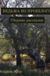 Агидель Кроу - Ведьма из прошлого. Сборник рассказов