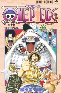 ONE PIECE 17