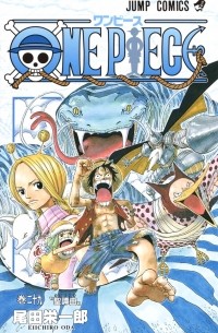 ONE PIECE 29