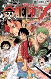 ONE PIECE 69