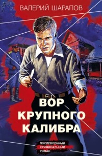 Вор крупного калибра