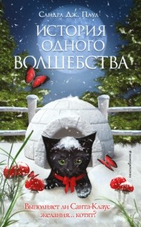 Сандра Дж. Паул - История одного волшебства