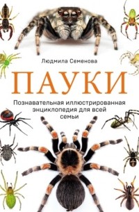 Пауки. Познавательная иллюстрированная энциклопедия для всей семьи