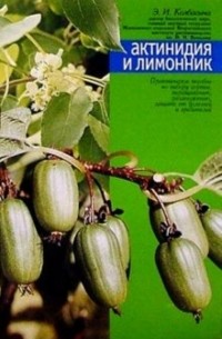 Колбасина Элла Иогановна - Актинидия и лимонник