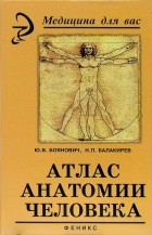 Юрий Боянович - Атлас анатомии человека