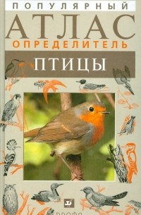 Валерий Ильичев - Популярный атлас-определитель. Птицы