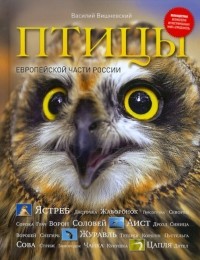 Василий Вишневский - Птицы Европейской части России