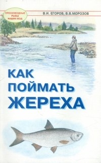  - Как поймать жереха