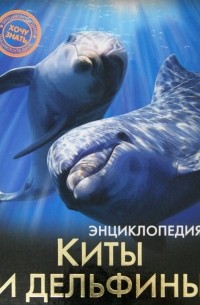Киты и дельфины