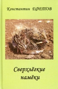 Константин Ефетов - Сверхлёгкие намёки