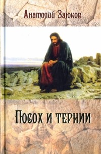 Заюков Анатолий Иванович - Посох и тернии