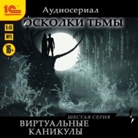 Елена Бриолле - Осколки тьмы. Серия 6. Виртуальные каникулы