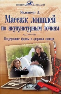 Массаж лошадей по акупунктурным точкам. Поддержание формы и здоровья лошади