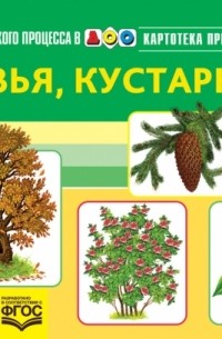 Наталия Нищева - Картотека предметных картинок. Наглядный дидактический материал. Выпуск 2. Деревья, кустарники. ФГОС