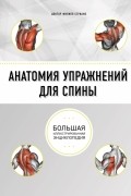 Анатомия упражнений для спины