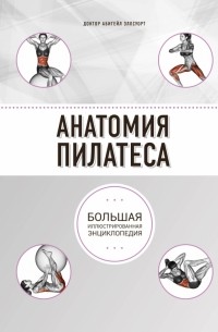 Абигейл Эллсуорт - Анатомия пилатеса