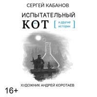 Сергей Кабанов - Испытательный кот и другие истории