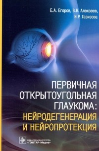 Первичная открытоугольная глаукома. Нейродегенерация и нейропротекция