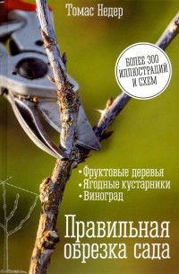 Правильная обрезка сада. Фруктовые деревья, ягодные кустарники, виноград