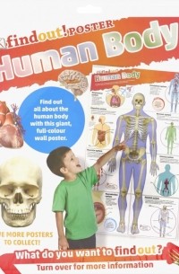 DKfindout! Human Body Poster