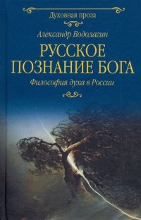 Александр Водолагин - Русское познание Бога. Философия духа в России