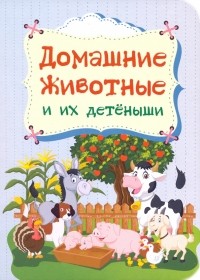  - Домашние животные и их детёныши