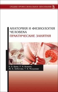  - Анатомия и физиология человека. Практические занятия. Учебное пособие