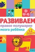Развиваем правое полушарие мозга ребенка за 12 недель