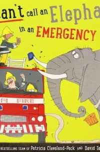 You Can't Call an Elephant in an Emergency