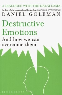  - Destructive Emotions. And how we can overcome them